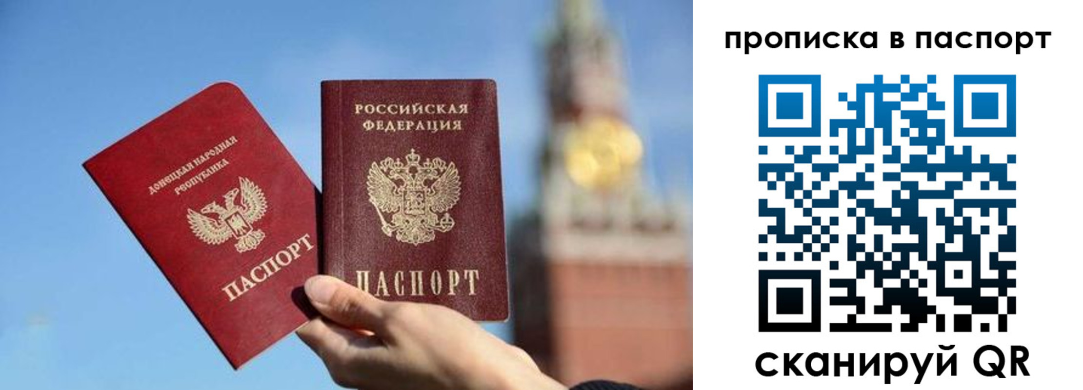 прописка ребенка в Мытищах
